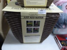 *Wicker Basket with Pre Planted Bulbs