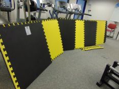 Dance/gym clip together mats