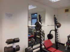 Large Gymnasium Mirror
