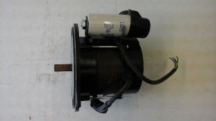 D13 Motor