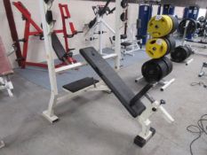 Panatta Olympic Incline Bench
