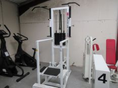 Assisted Chin & Dip Machine