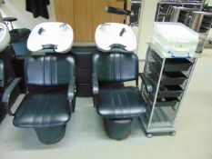 Freestanding Hair Washing Station & Product Trolley