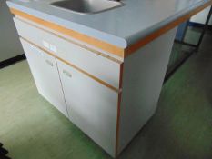 Large College Science Work Bench/ Table
