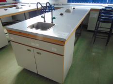 Large College Science Work Bench/ Table