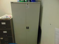 Large Storage Cabinet