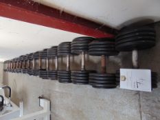 Dumbbell Set
