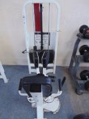 Cybex Hip Adduction