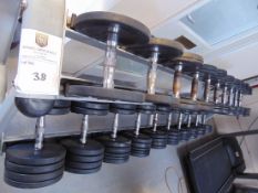 Pulse Rubber Covered Dumbbells On Rack