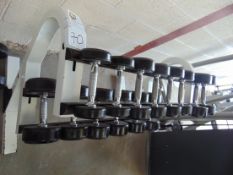 MYO Strength Mixed Weight Rack and Stand