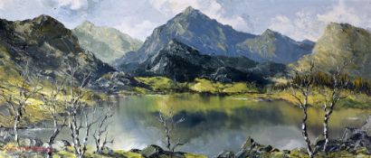 CHARLES WYATT WARREN oil on board - Snowdon lake with birch-trees, entitled verso 'Snowdon from Llyn
