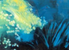 PETER DANIELS limited edition (5/500) coloured print - abstract, signed, 38 x 48cms