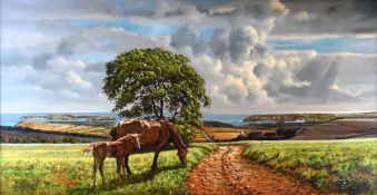 DONALD AYRES oil on canvas - coastal farmland with horse and foal on a track, entitled verso, '
