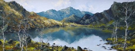 CHARLES WYATT WARREN oil on board - exhibition quality depiction of Snowdon with Llyn Nantlle in the