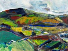 PETER ROSSITER oil and mixed media on board - hilly landscape entitled verso 'North Wales