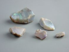 A COLLECTION OF FIVE UNCUT OPALS, 3 cms long the largest