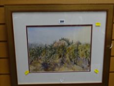 Unknown modern watercolour - vineyards with roof-tops beyond, indistinctly signed and dated 1996