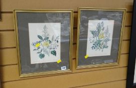 Two framed botanical prints