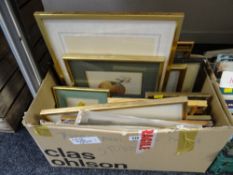 A box of various framed coloured etchings and prints including botanic specimens, unframed map,