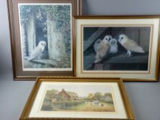 PATRICK D WHALLEY coloured limited edition (230/650) signed print - barn owl and young, 34 x 48 cms,