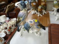 Continental group - two kingfishers & a branch