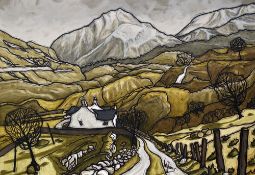 ALAN WILLIAMS oil on canvas - cottage in valley entitled verso 'Nant Ffrancon Valley', signed, 41