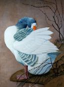 CHARLES FREDERICK TUNNICLIFFE RA OBE watercolour - study of a pruning greylag goose, signed, 65 x