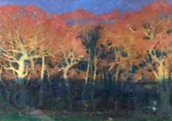 DAVID WOODFORD oil / acrylic - woodland scene, signed in full, 17.5 x 25cms