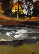 DONALD McINTYRE oil / acrylic - rushing river with trees, signed with initials, 40 x 28.5cms