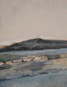 SUE SHIELDS gouache and watercolour - original illustration for the renowned and commercially