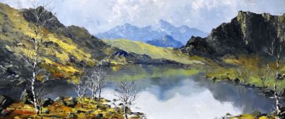 CHARLES WYATT WARREN oil on board - 'Snowdon from Llyn Nantlle', signed, 24 x 54cms