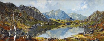 CHARLES WYATT WARREN oil on board - North Wales lake scene with farmstead, distant mountains and