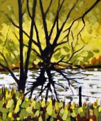 GWYN OWEN acrylic / oil on canvas - Aberglaslyn Pool, signed and dated verso 2006, 60 x 49cms