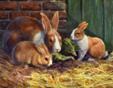 DONNA CRAWSHAW oil on card - three rabbits feeding, signed, 20 x 25cms