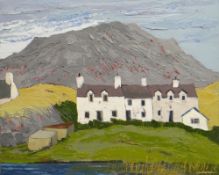 WYNNE JENKINS oil on canvas - row of whitewashed Anglesey houses, entitled verso 'Bodafon - Sir