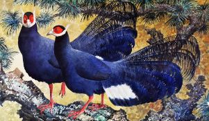 CHARLES FREDERICK TUNNICLIFFE RA OBE watercolour - study of two black pheasants on a fir-tree