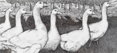 SEREN BELL pen and ink - six geese walking in field with woodland beyond stone wall, 26 x 55cms