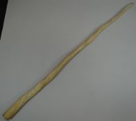 A LATE NINETEENTH CENTURY / EARLY TWENTIETH CENTURY NARWHAL TUSK, likely circa 1920, 150cms long,