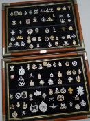 TWO DISPLAY FRAMES OF REGIMENTAL BADGES