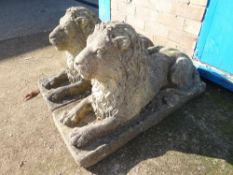 Pair of stone garden recumbent lions (outside)