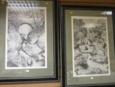 Two limited edition prints - waterfall scenes by IAN WILDGOOSE