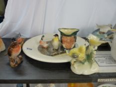A commemorative plate, a Beswick robin, a Beswick bullfinch, A Royal Doulton Toby Jug etc