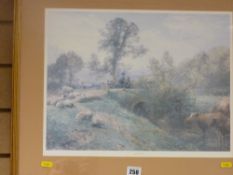 Framed print - 'Cool Stream'