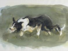 WILLIAM SELWYN watercolour - study of a sheepdog in pursuit, signed in full, 28 x 39 cms