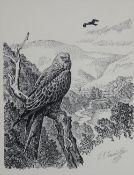 CHARLES FREDERICK TUNNICLIFFE black & white print - a perched red kite & one in the air, signed in