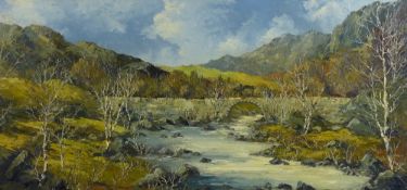 CHARLES WYATT WARREN oil on board - river scene with bridge and silver birches, signed and