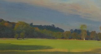 DAVID WOODFORD oil on board - peaceful parkland scene, signed and entitled 'The Fester Floodplain',