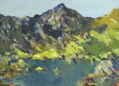 CHARLES WYATT WARREN oil on board - 'Snowdon and Llyn Llydaw', signed and with title and artist's