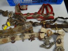 Quantity of regimental cap badges, some on belts