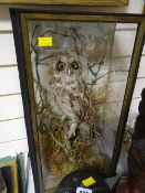 A cased taxidermy short-eared owl specimen in foliage